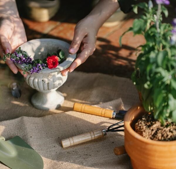 Optimize Your Growth 4805538561 Digital Tools