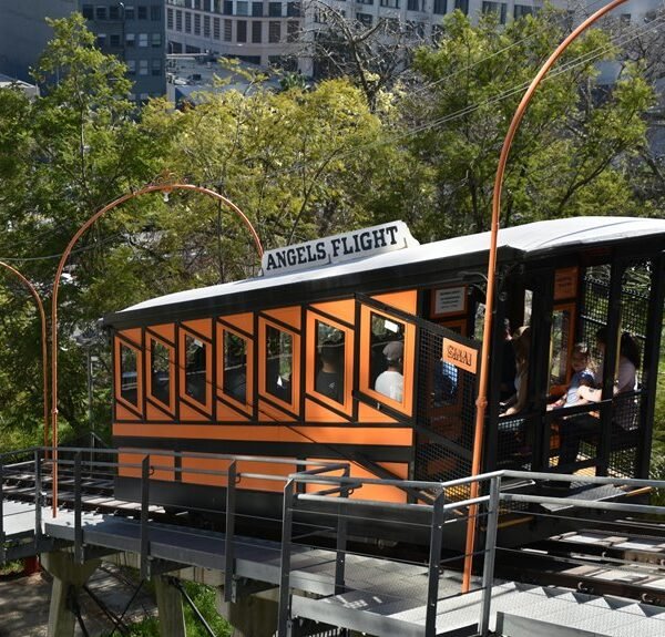 Elevate Your Marketing 944341798 Online Platform